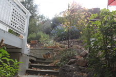 Enlarge photo 75