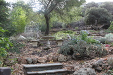 Enlarge photo 83