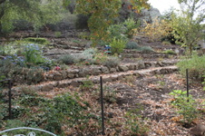 Enlarge photo 85