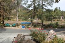 Enlarge photo 48