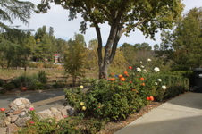 Enlarge photo 49