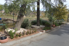 Enlarge photo 52