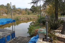 Enlarge photo 55