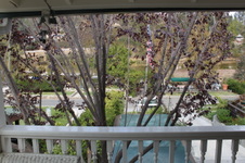 Enlarge photo 39