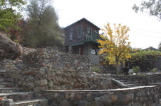 Enlarge photo 66