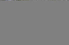 Enlarge photo 79