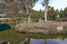 Enlarge photo 78
