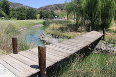 Enlarge photo 28