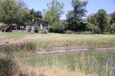 Enlarge photo 30