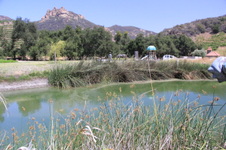 Enlarge photo 31