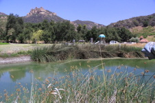 Enlarge photo 32