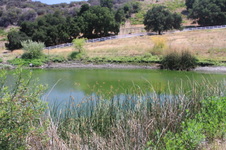 Enlarge photo 33