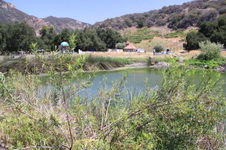 Enlarge photo 34
