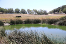 Enlarge photo 36