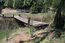 Enlarge photo 37