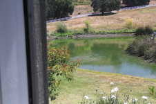 Enlarge photo 39
