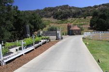 Enlarge photo 43