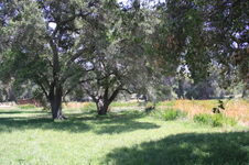 Old Lake - Disney Ranch