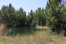 Enlarge photo 2