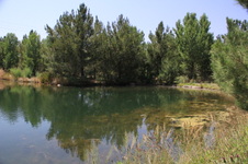 Enlarge photo 4
