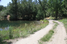 Enlarge photo 6