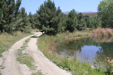 Enlarge photo 7