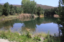 Enlarge photo 8