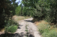 Enlarge photo 9
