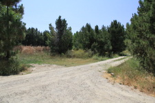 Enlarge photo 10