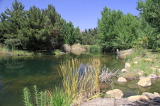 Enlarge photo 12