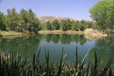 Enlarge photo 14