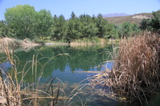 Enlarge photo 15