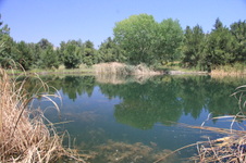 Enlarge photo 16
