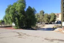 Enlarge photo 41