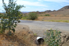 Enlarge photo 71