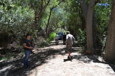 Enlarge photo 22