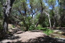 Enlarge photo 23