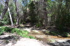 Enlarge photo 24