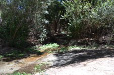 Enlarge photo 25