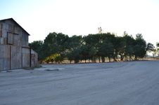 Enlarge photo 3