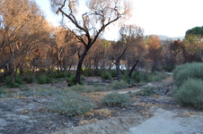 Enlarge photo 13