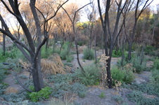 Enlarge photo 16