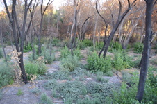 Enlarge photo 17