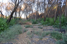 Enlarge photo 19