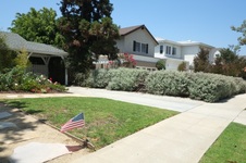 Enlarge photo 11