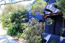 Enlarge photo 8