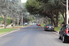 Enlarge photo 11