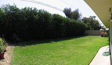 Enlarge photo 7