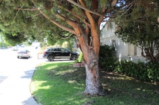 Enlarge photo 18