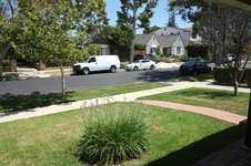 Enlarge photo 11